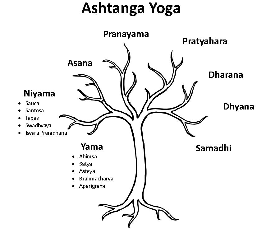 Ashtanga Yoga Tree Pic02