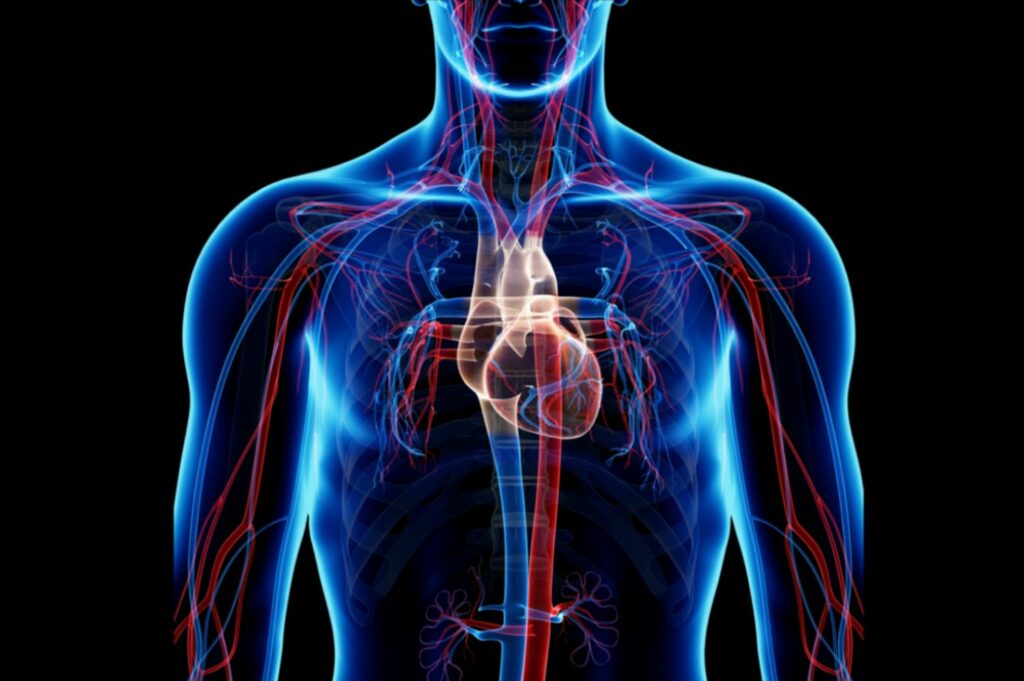 Heart Lung Circulation 02